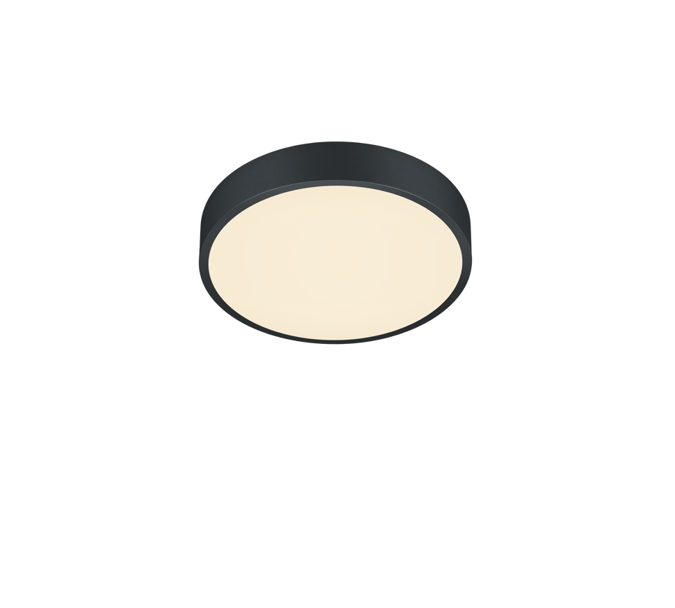 WACO | Ceiling lamp | Black mat | Metal