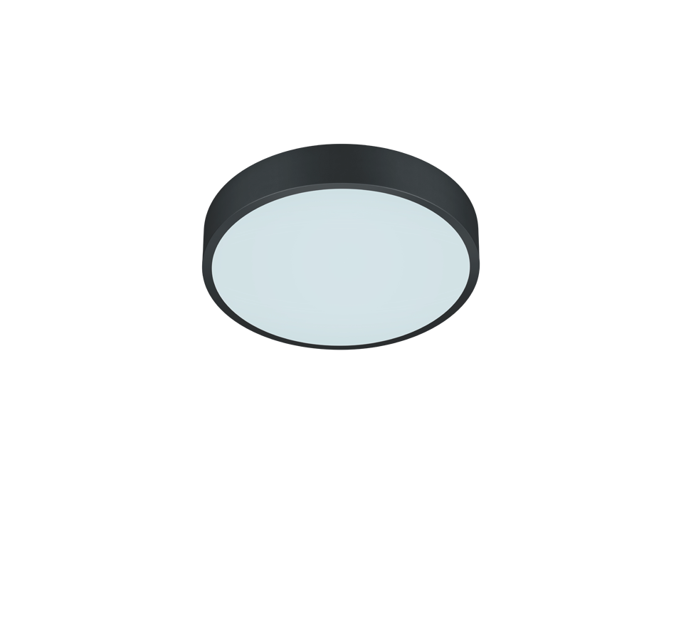 WACO | Ceiling lamp | Black mat | Metal