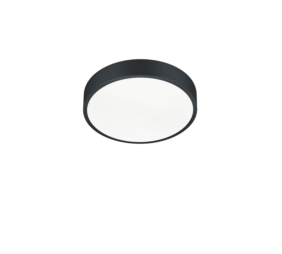 WACO | Ceiling lamp | Black mat | Metal