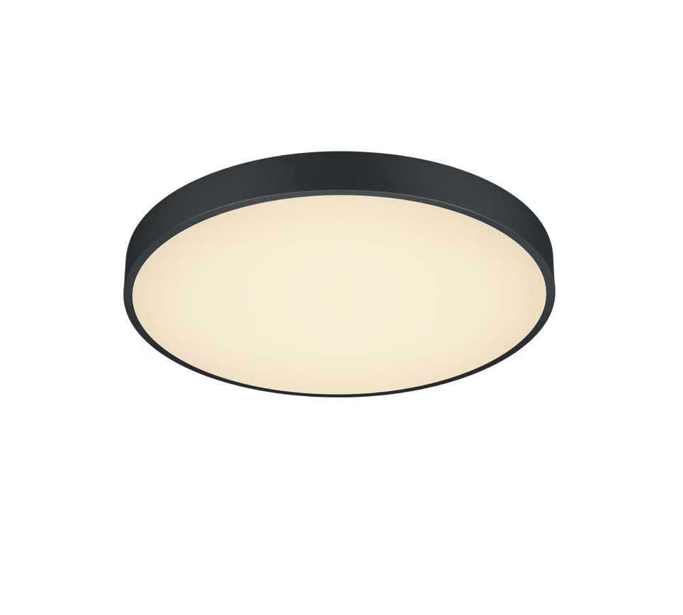 TRIO - WACO - Ceiling Lamp - 627415032