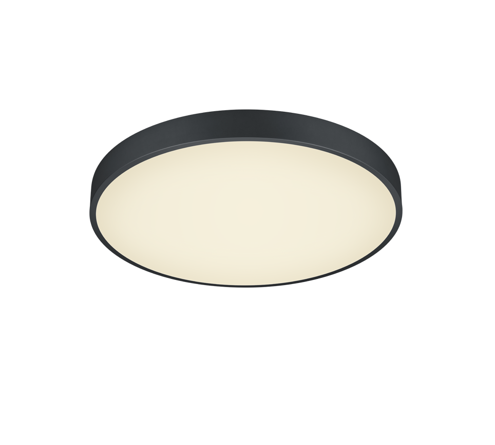 WACO | Ceiling lamp | Black mat | Metal