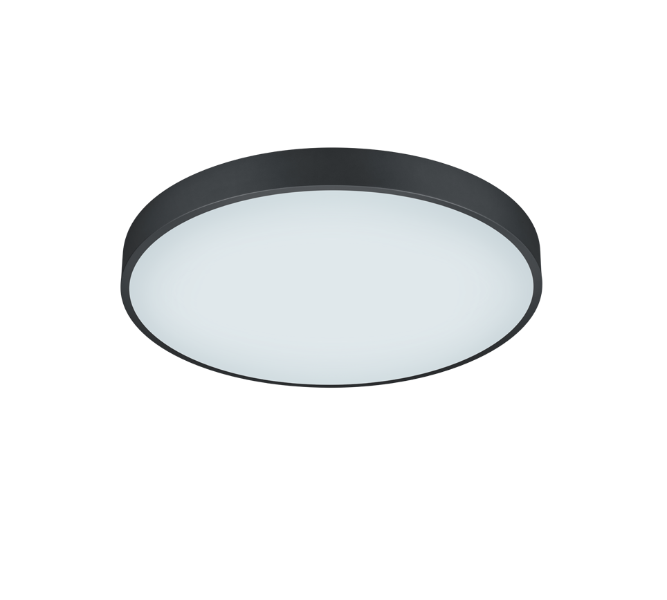 WACO | Ceiling lamp | Black mat | Metal