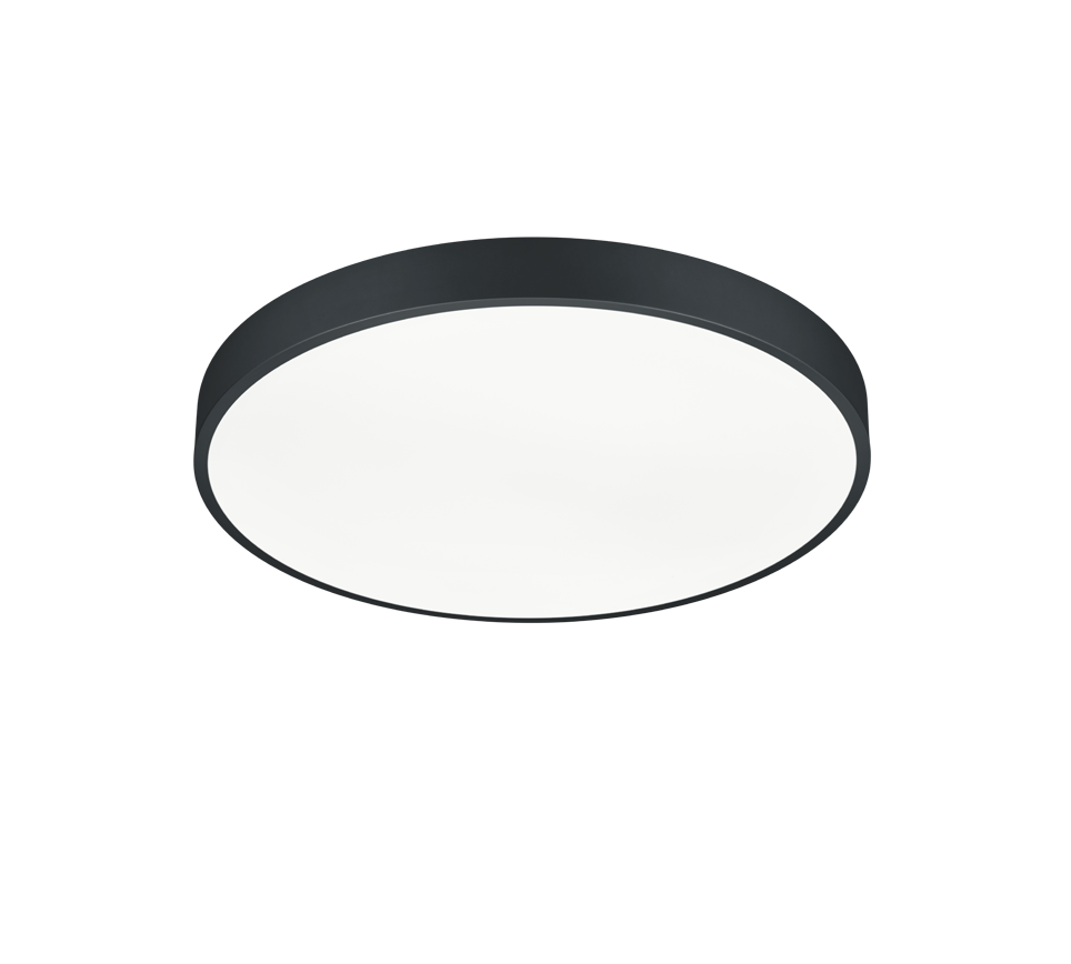 WACO | Ceiling lamp | Black mat | Metal