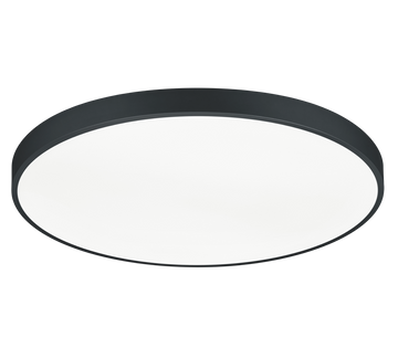 TRIO - WACO - Ceiling Lamp - 627417532