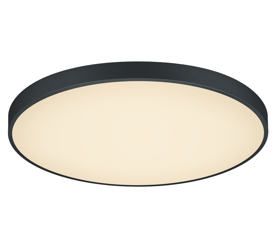 TRIO - WACO - Ceiling Lamp - 627417532