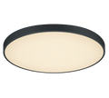 WACO | Ceiling lamp | Black mat | Metal