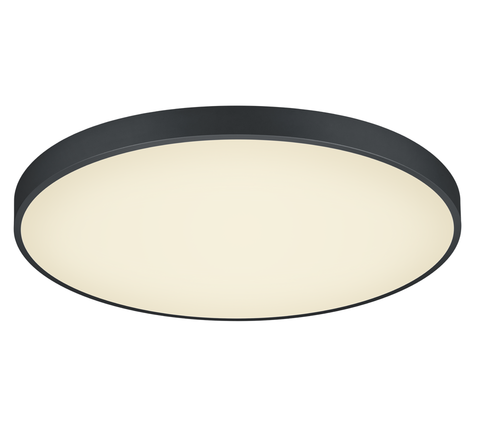 WACO | Ceiling lamp | Black mat | Metal