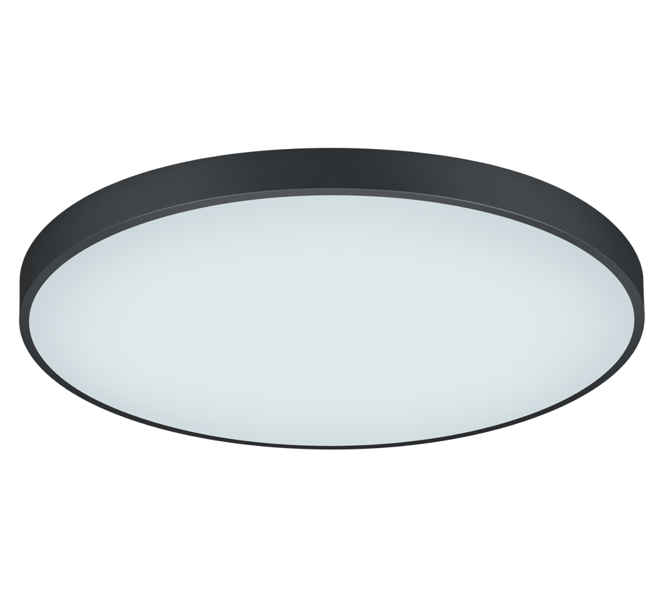 WACO | Ceiling lamp | Black mat | Metal