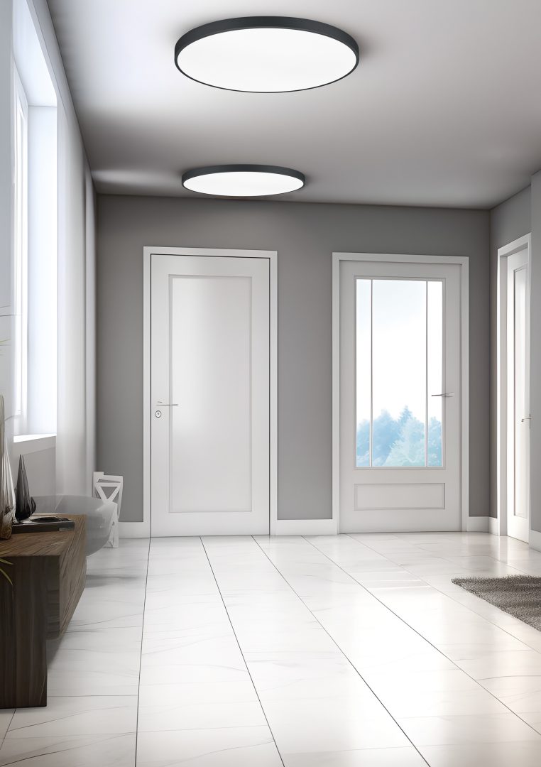 WACO | Ceiling lamp | Black mat | Metal