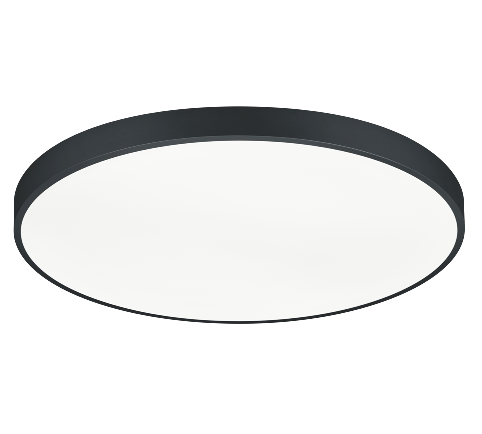 WACO | Ceiling lamp | Black mat | Metal