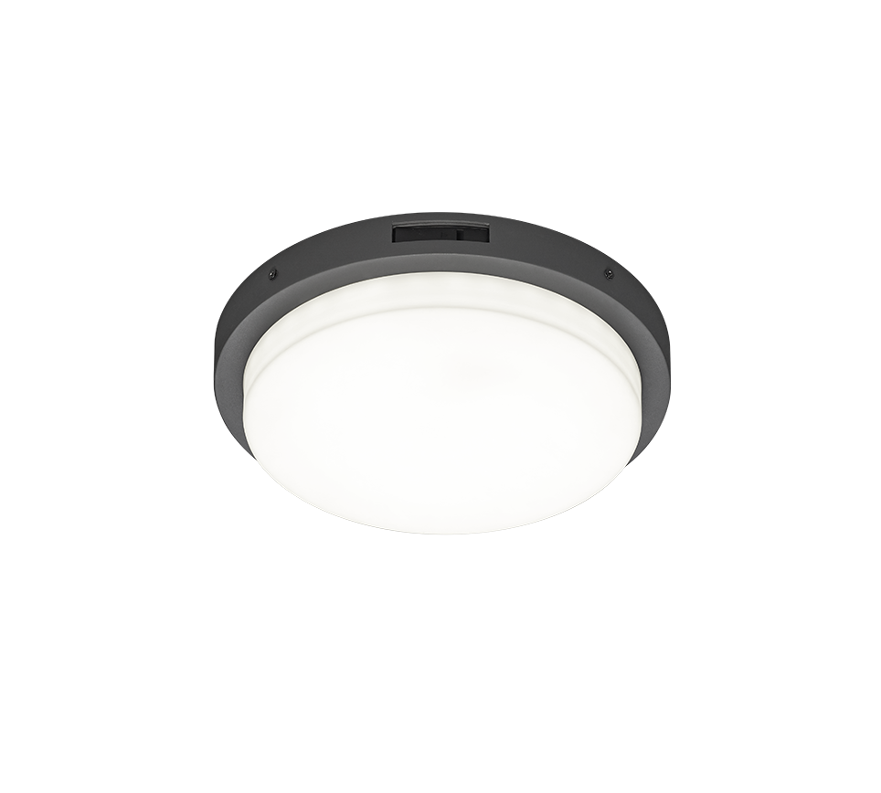 BERMEJO | Ceiling lamp | Anthracite | Metal
