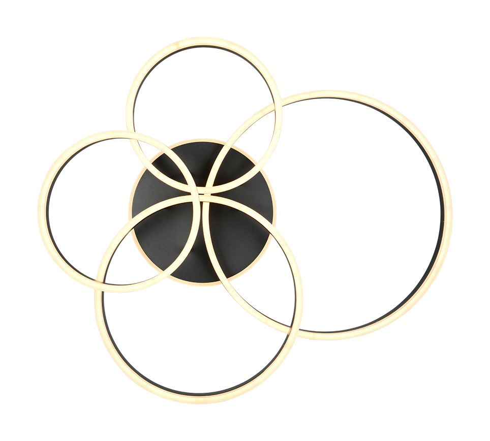 DRAKE | Ceiling lamp | Black mat | Metal