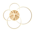 DRAKE | Ceiling lamp | Gold | Metal