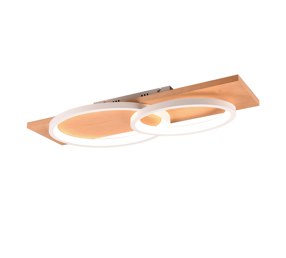 BARCA | Ceiling lamp | White mat | Metal