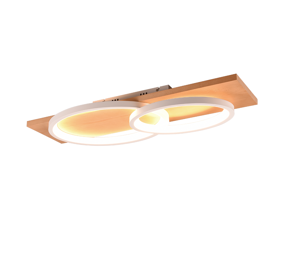 BARCA | Ceiling lamp | White mat | Metal
