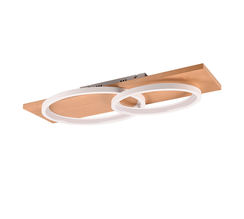 BARCA | Ceiling lamp | White mat | Metal