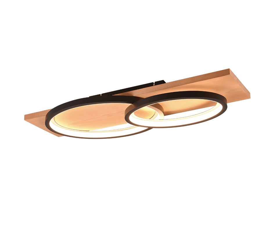 BARCA | Ceiling lamp | Black mat | Metal