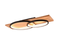 BARCA | Ceiling lamp | Black mat | Metal