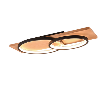 BARCA | Ceiling lamp | Black mat | Metal
