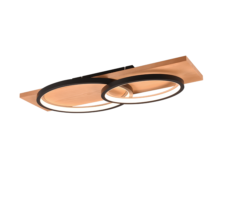BARCA | Ceiling lamp | Black mat | Metal
