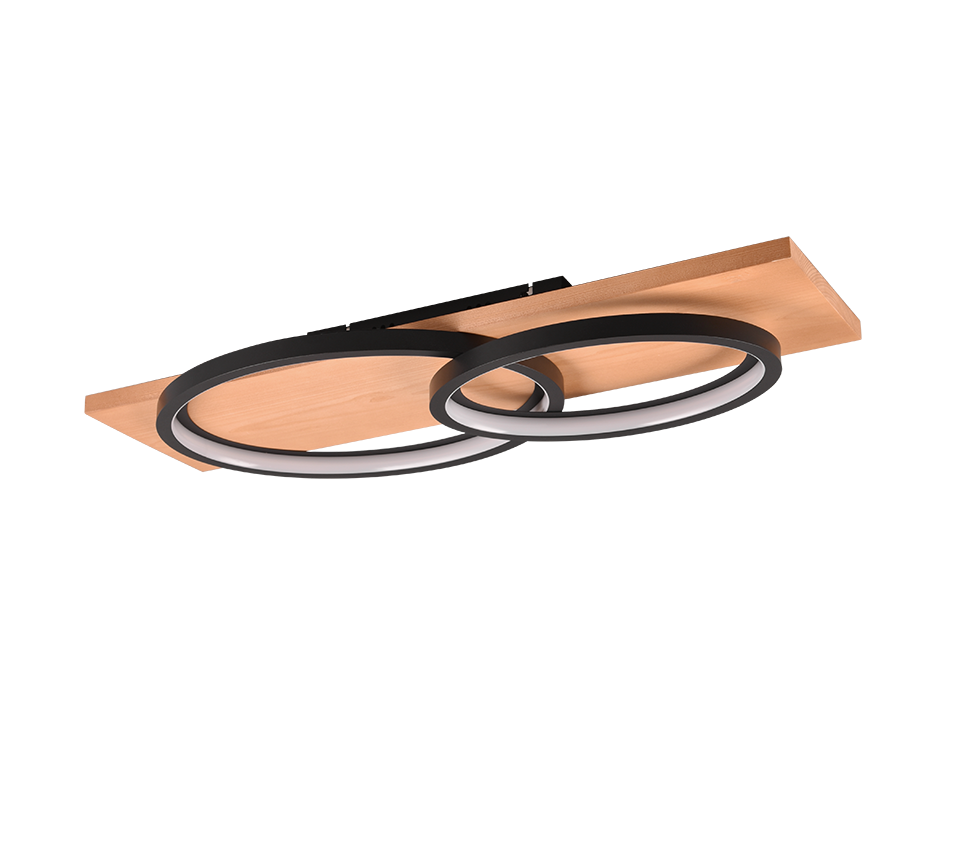 BARCA | Ceiling lamp | Black mat | Metal