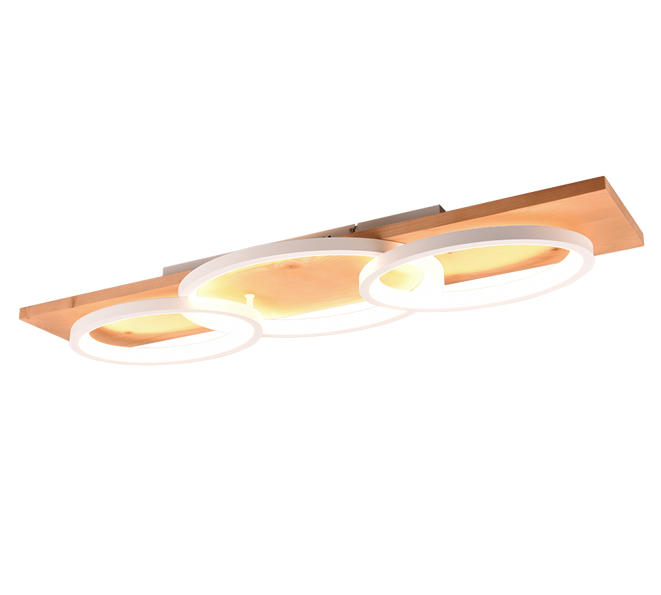 BARCA | Ceiling lamp | White mat | Metal