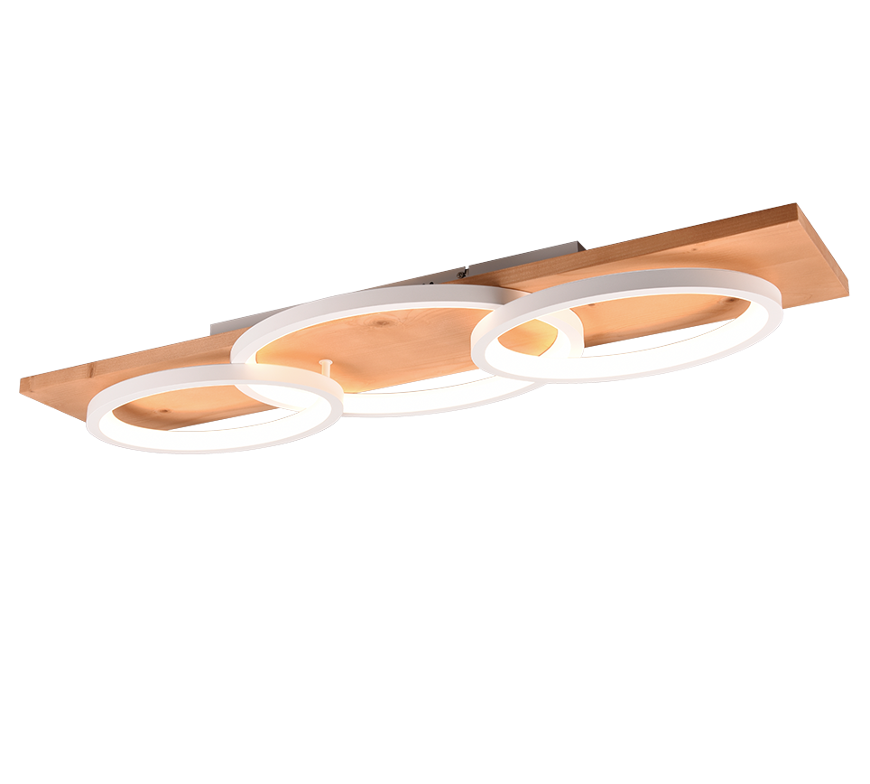 BARCA | Ceiling lamp | White mat | Metal