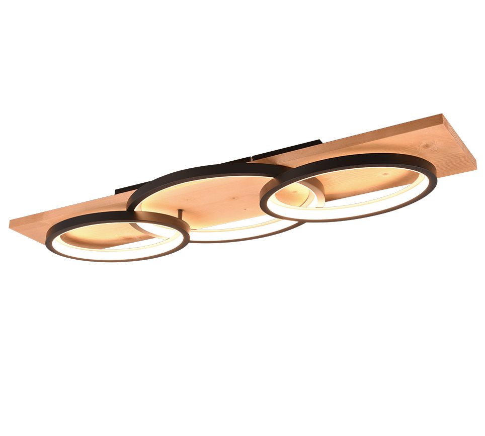 BARCA | Ceiling lamp | Black mat | Metal