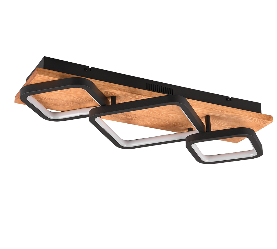 RAMA | Ceiling lamp | Black mat | Metal