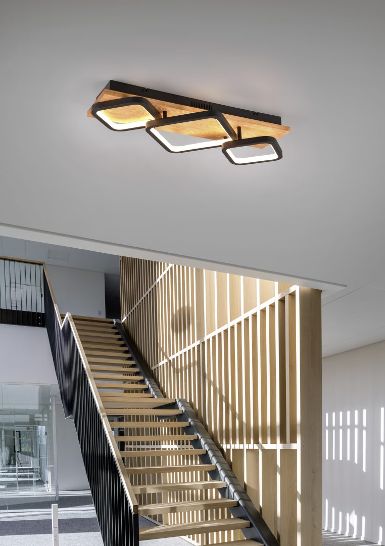 RAMA | Ceiling lamp | Black mat | Metal