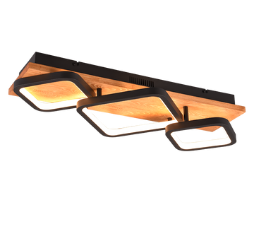 RAMA | Ceiling lamp | Black mat | Metal