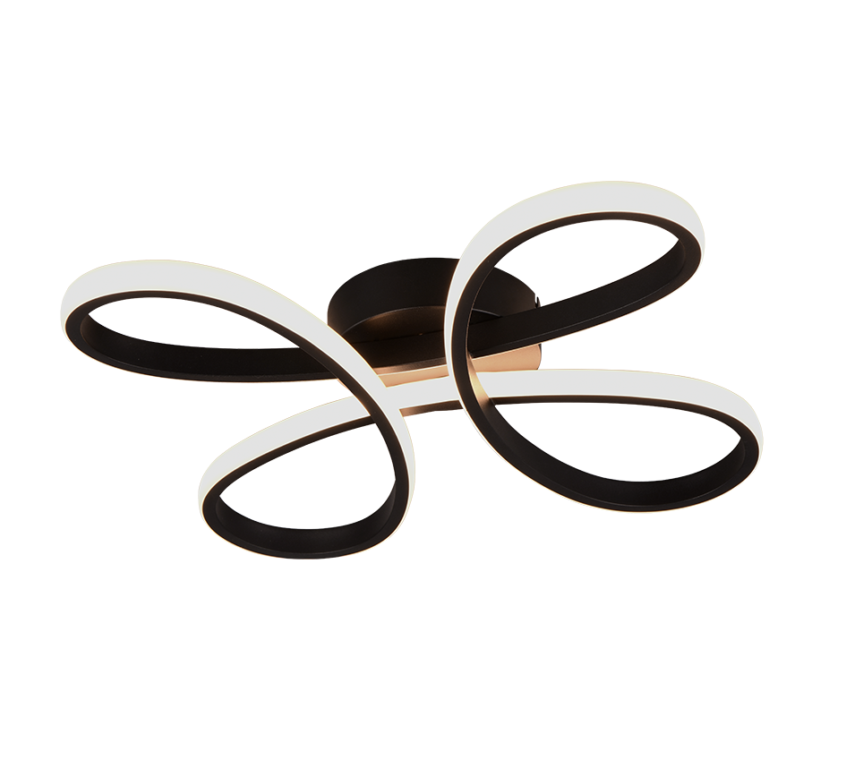 FLY | Ceiling lamp | Black mat | Metal