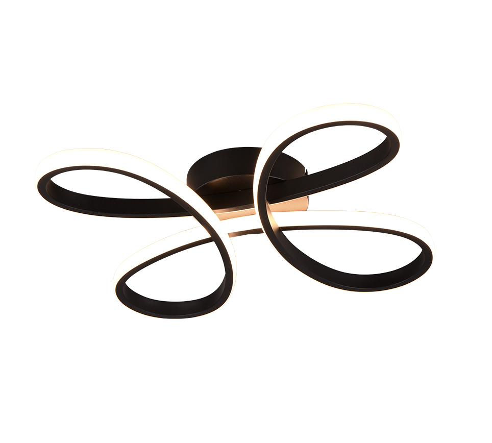 FLY | Ceiling lamp | Black mat | Metal