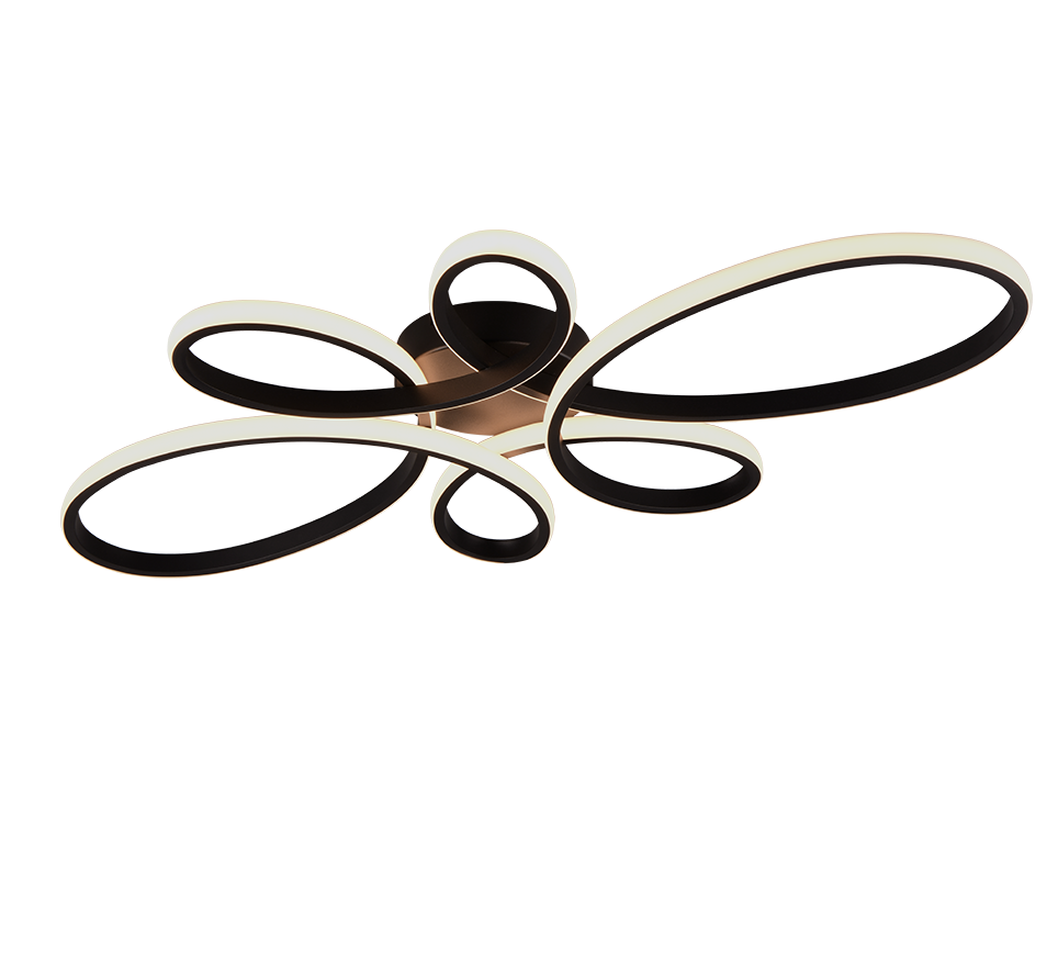 FLY | Ceiling lamp | Black mat | Metal