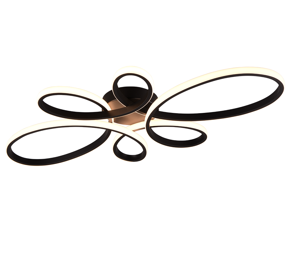 FLY | Ceiling lamp | Black mat | Metal