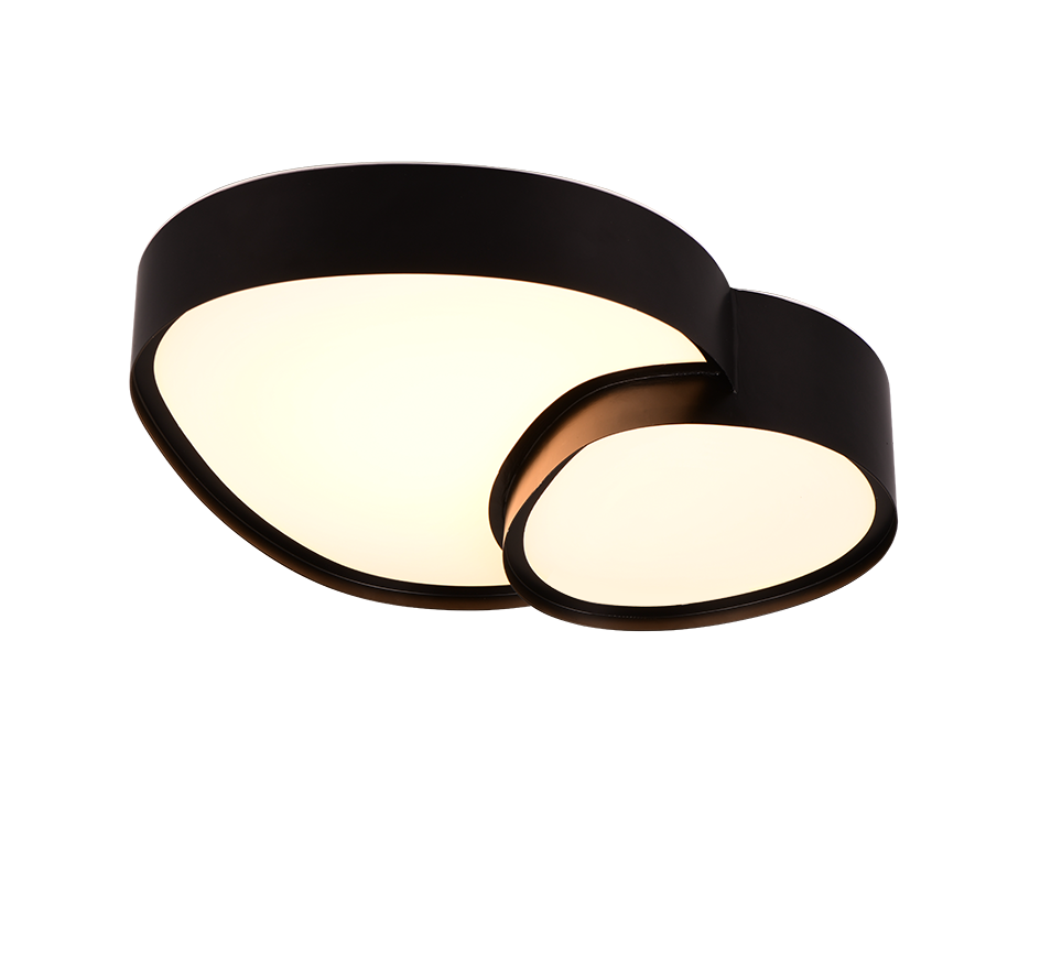 RISE | Ceiling lamp | Black mat | Metal