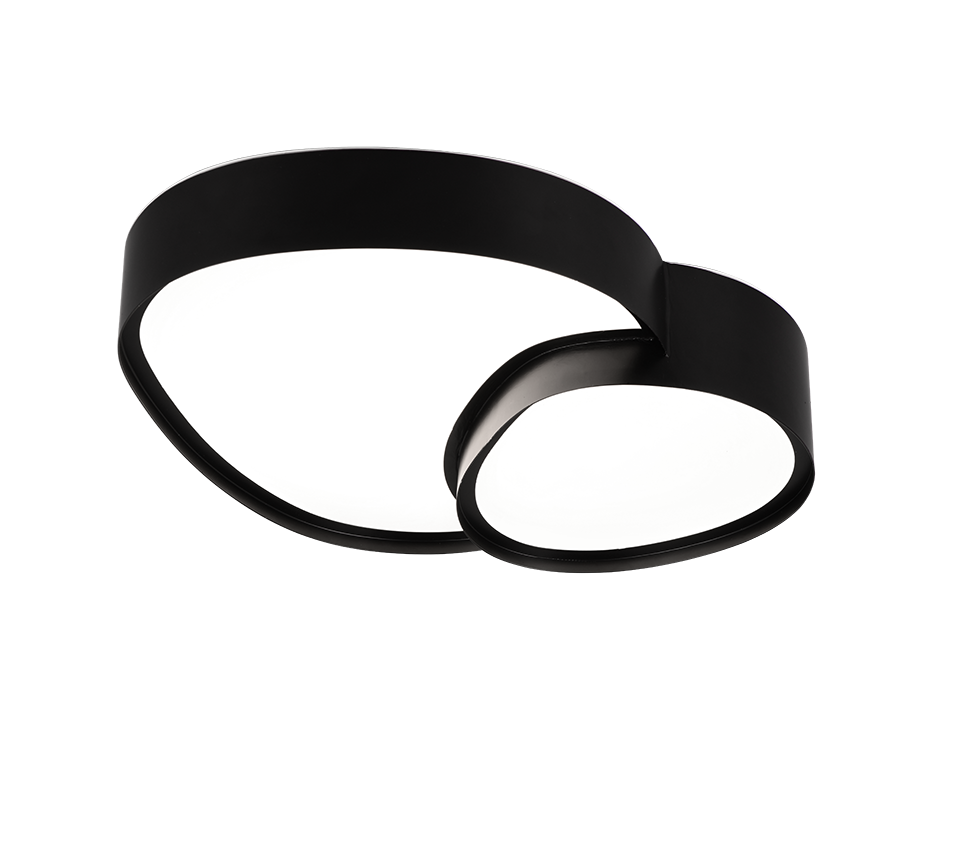 RISE | Ceiling lamp | Black mat | Metal