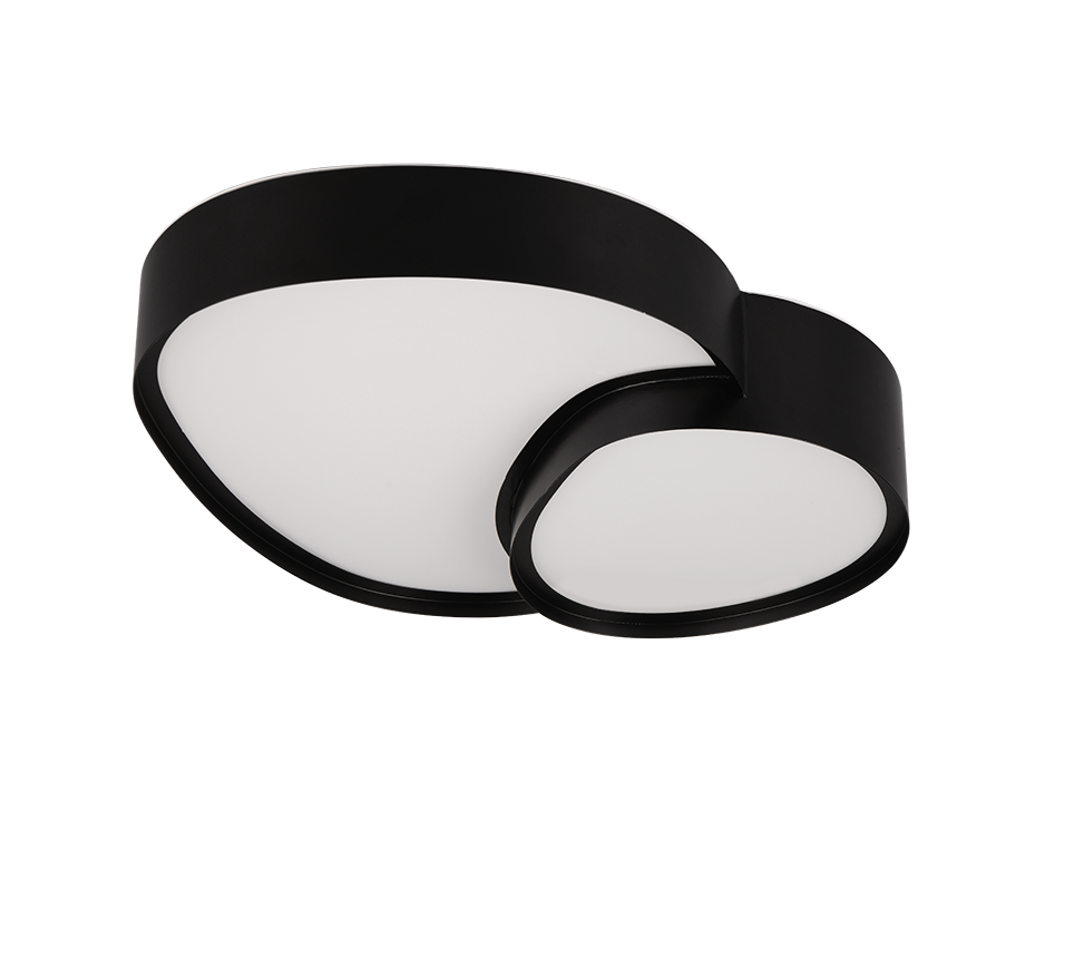 RISE | Ceiling lamp | Black mat | Metal