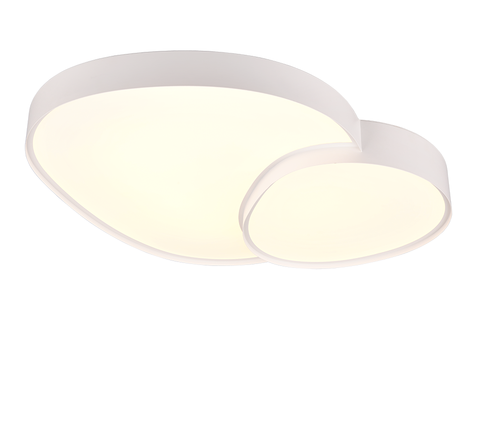 RISE | Ceiling lamp | White mat | Metal
