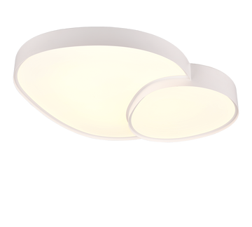 RISE | Ceiling lamp | White mat | Metal