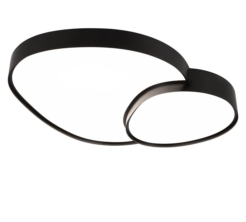 RISE | Ceiling lamp | Black mat | Metal