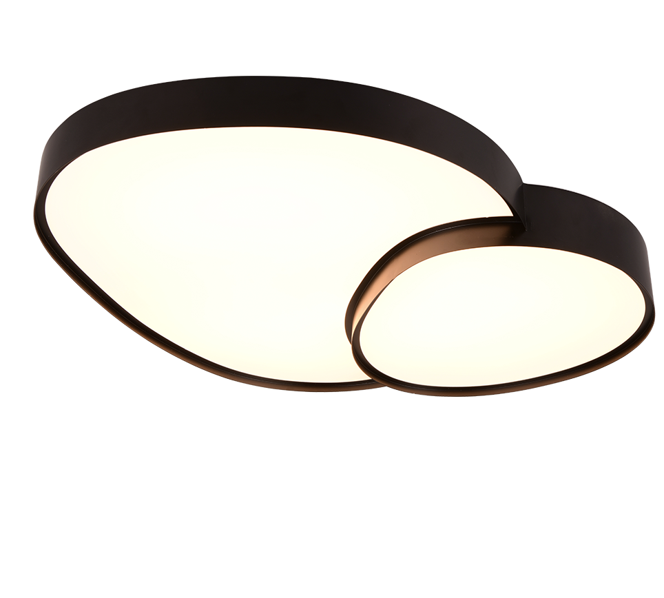RISE | Ceiling lamp | Black mat | Metal
