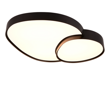 RISE | Ceiling lamp | Black mat | Metal
