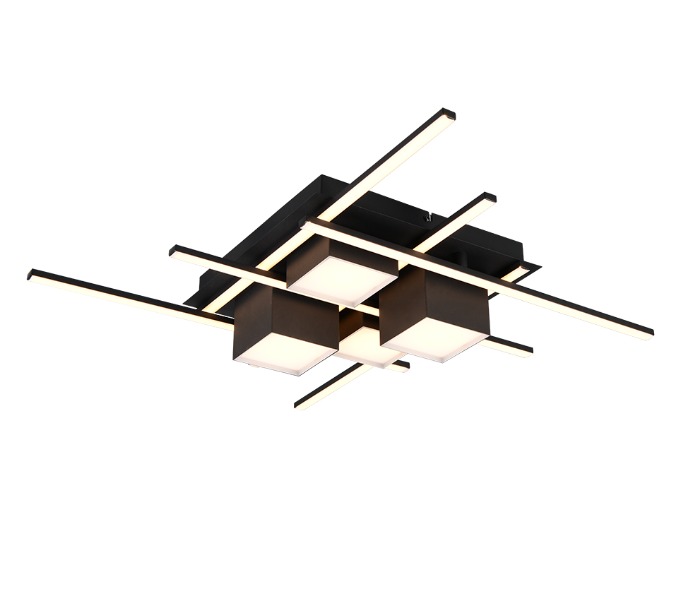 ROGER | Ceiling lamp | Black mat | Metal