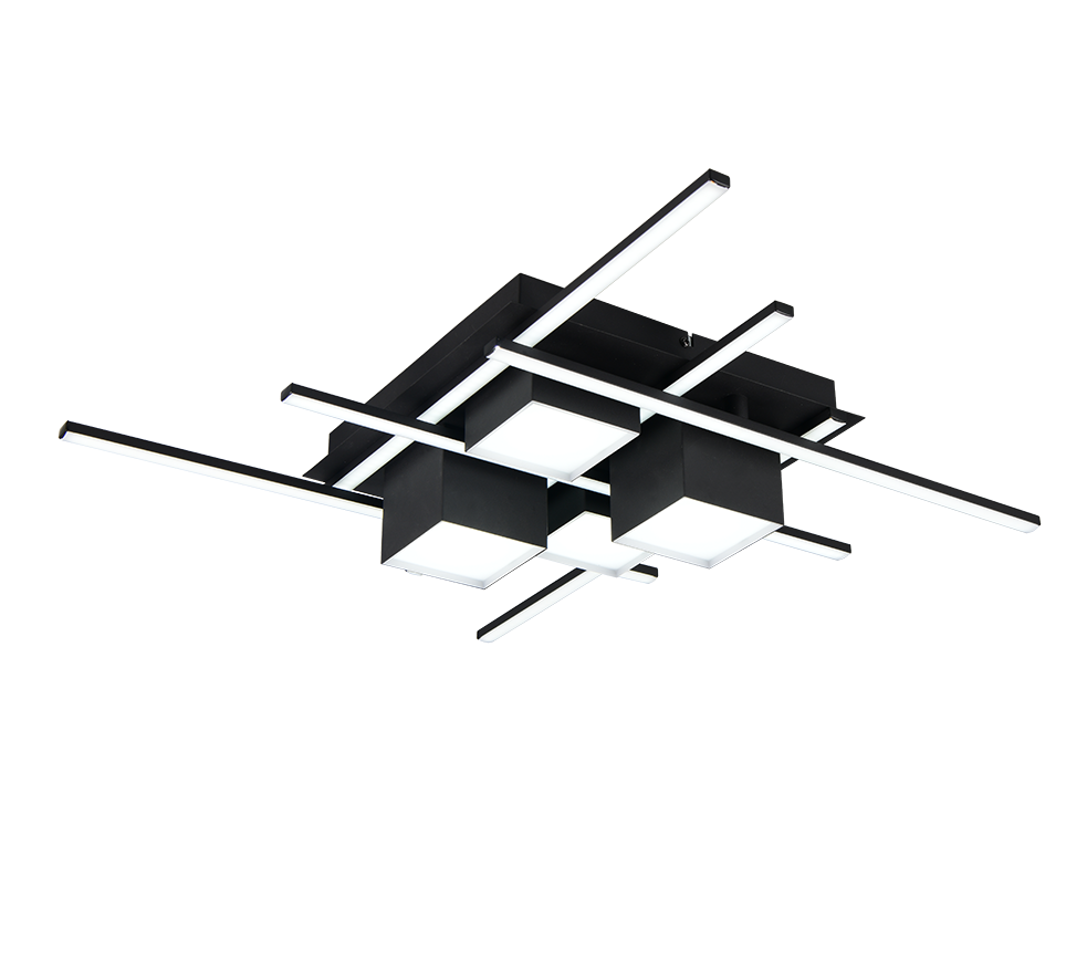 ROGER | Ceiling lamp | Black mat | Metal