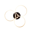 CARUSO | Ceiling lamp | Schwarz-Gold | Metal