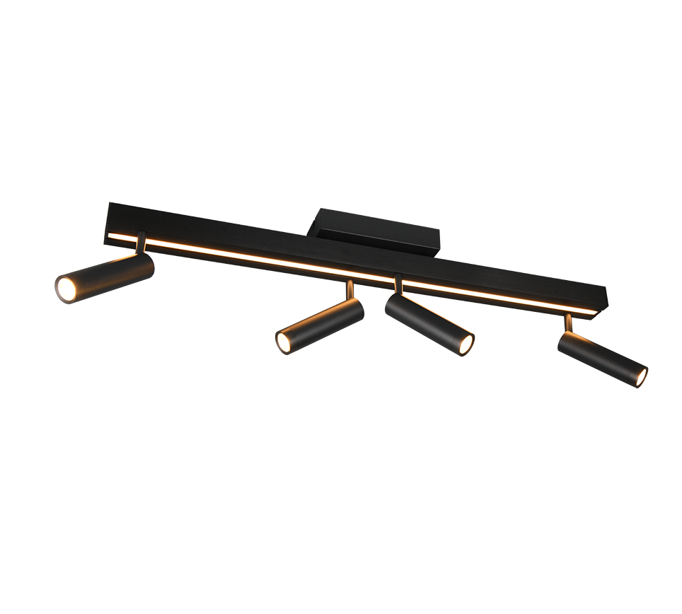 ZENO | Ceiling lamp | Black mat | Metal
