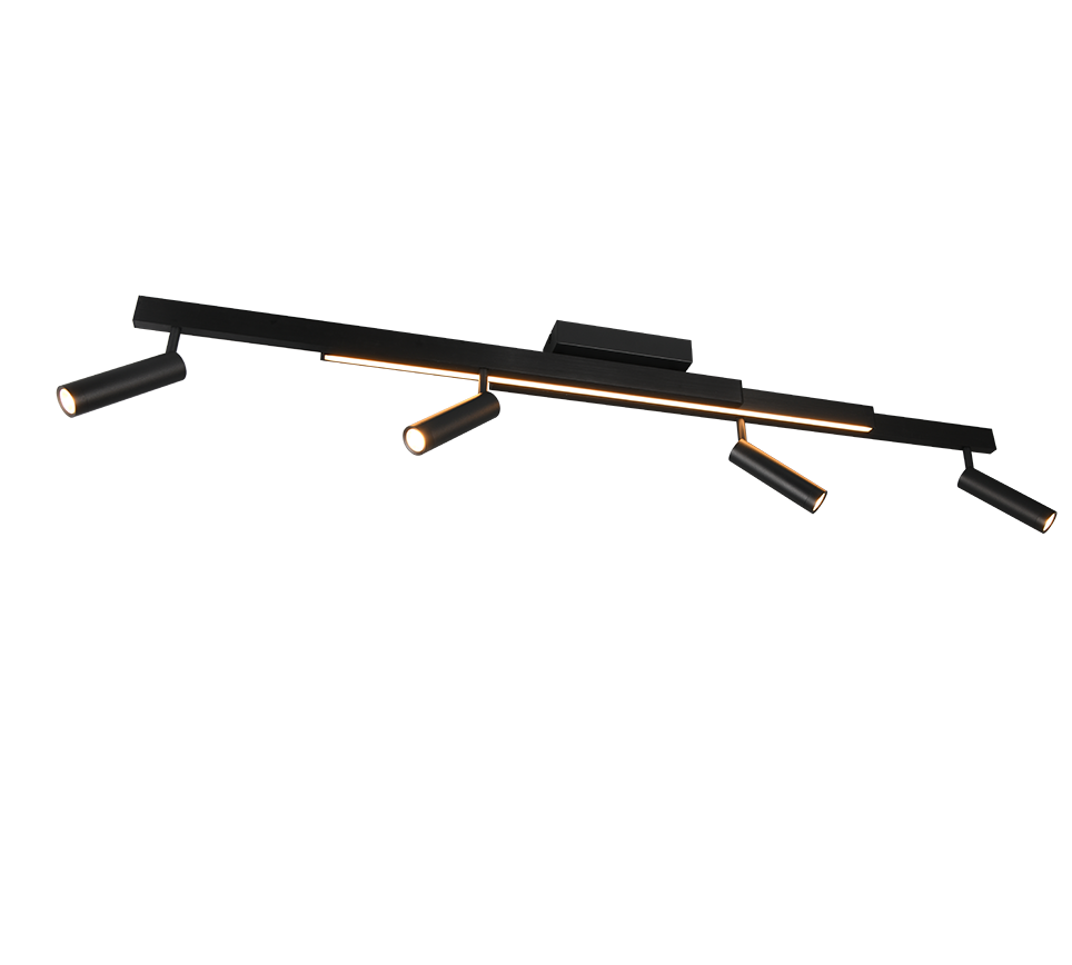 ZENO | Ceiling lamp | Black mat | Metal