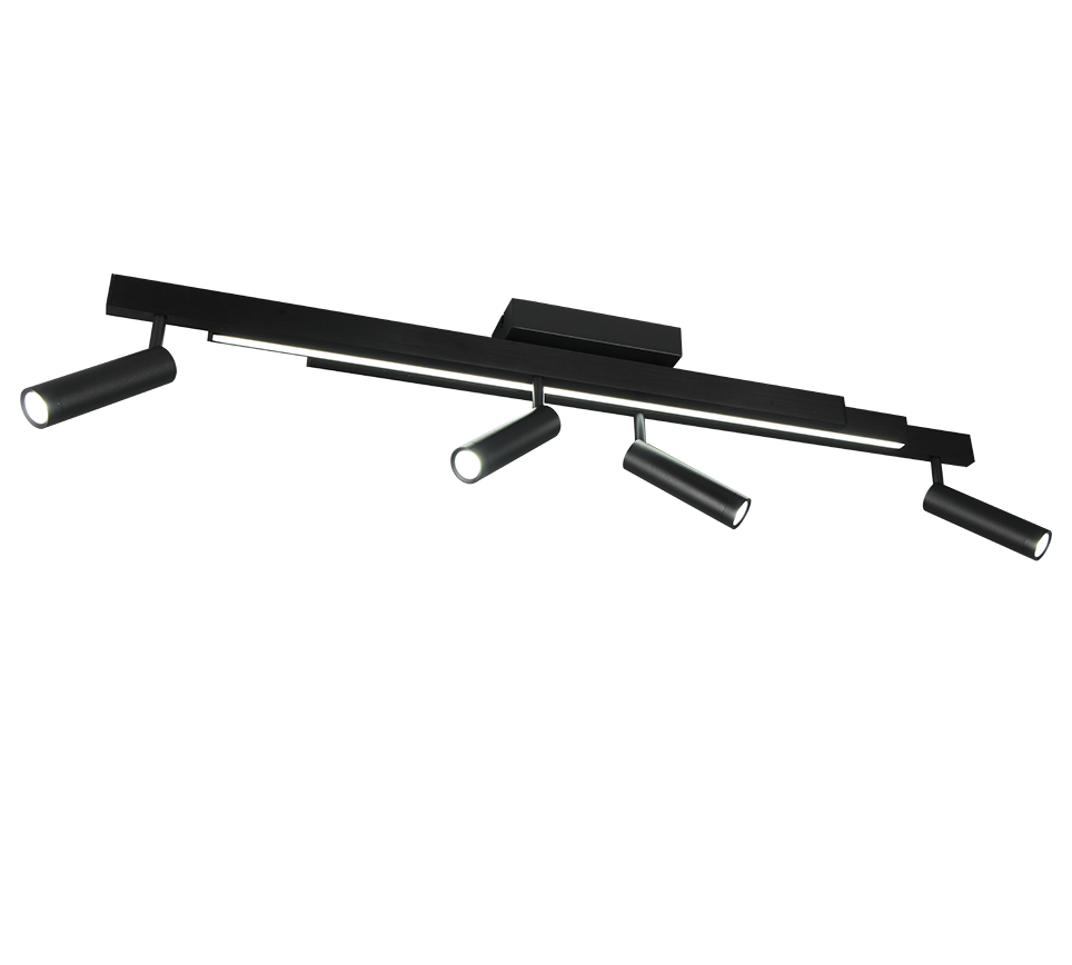 ZENO | Ceiling lamp | Black mat | Metal
