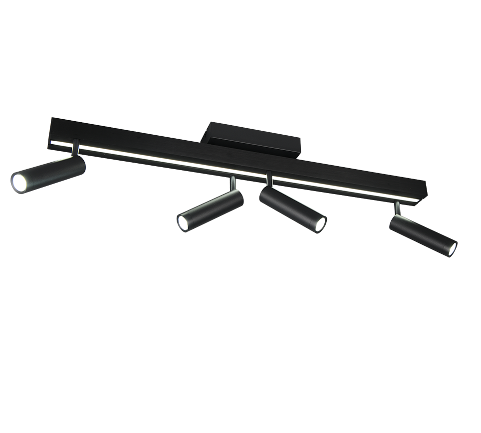 ZENO | Ceiling lamp | Black mat | Metal
